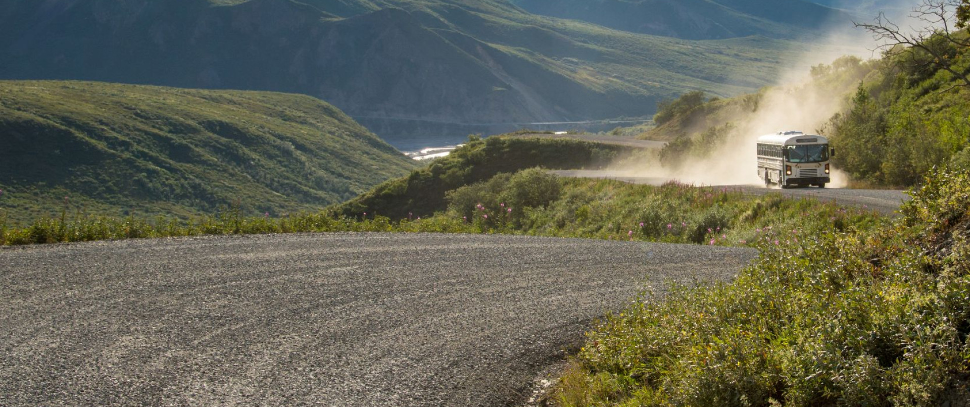 International bus design