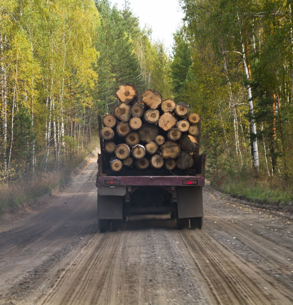 A logging truck on a forest road